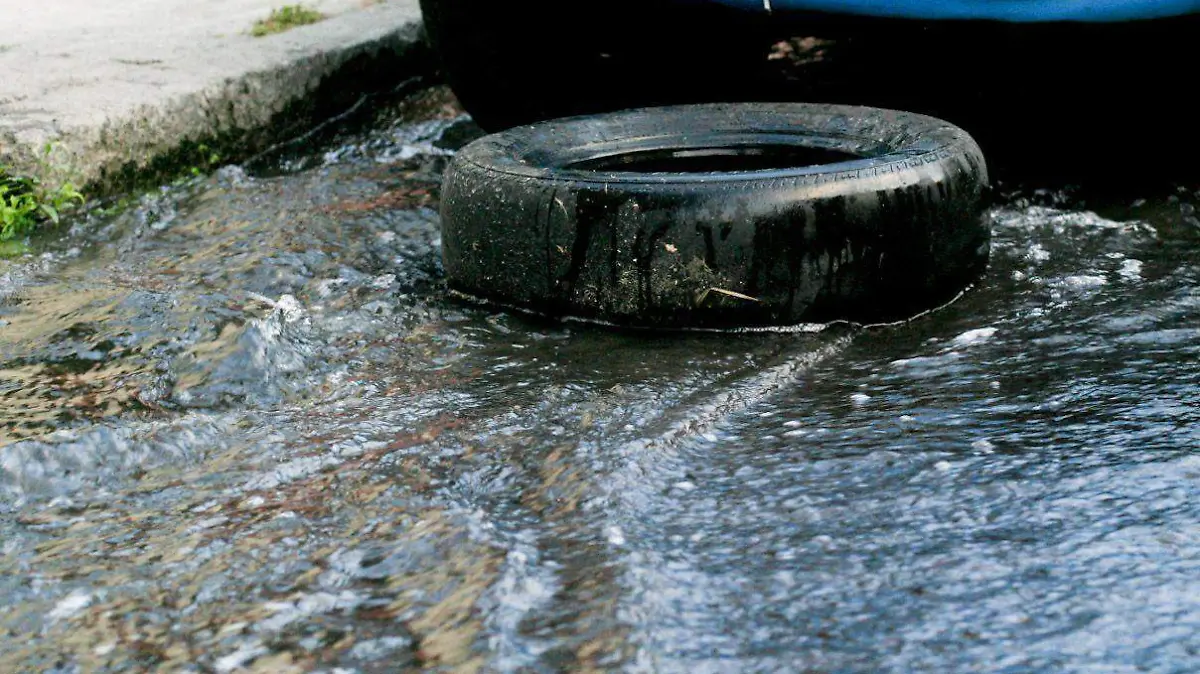 241071_Desabasto y desperdicio de agua3_impreso